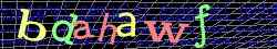 Ovovac kd