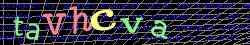 Ovovac kd