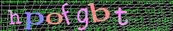 Ovovac kd