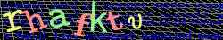 Ovovac kd