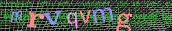 Ovovac kd