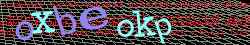 Ov��ovac� k�d