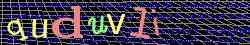 Ovovac kd