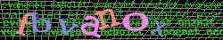 Ovovac kd