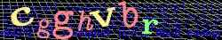 Ov��ovac� k�d