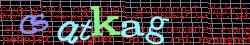 Ovovac kd