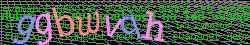 Ov��ovac� k�d