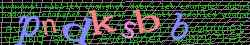Ovovac kd