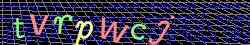 Ovovac kd