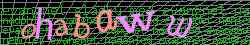 Ovovac kd