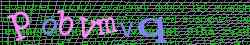 Ovovac kd