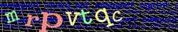 Ov��ovac� k�d