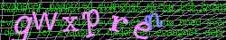 Ovovac kd