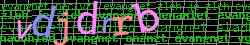 Ovovac kd