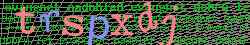 Ovovac kd