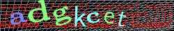 Ovovac kd