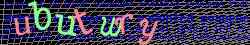 Ovovac kd