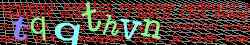 Ovovac kd