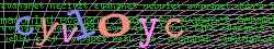 Ovovac kd