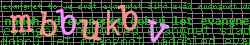 Ov��ovac� k�d