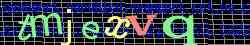Ovovac kd
