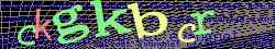 Ovovac kd