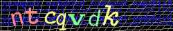 Ovovac kd