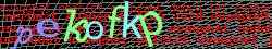 Ovovac kd