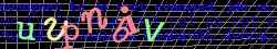 Ovovac kd