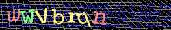 Ov��ovac� k�d