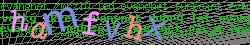 Ov��ovac� k�d