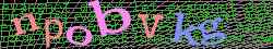 Ovovac kd