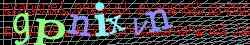 Ovovac kd