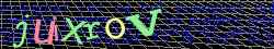Ovovac kd