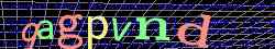 Ovovac kd