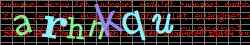 Ovovac kd