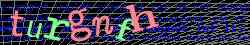 Ovovac kd