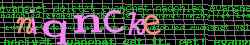 Ov��ovac� k�d